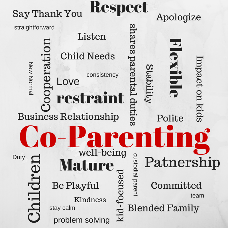 Co Parenting Classes