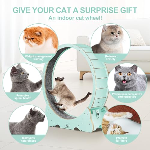 Naviconvex Cat Wheel