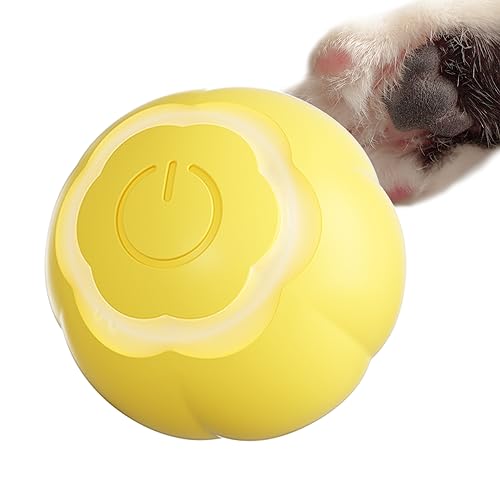 Pawmic Interactive Cat Toy Moving Cat Toy Ball, Sports for Indoor Cats Activate Hunting Instincts (Orange)