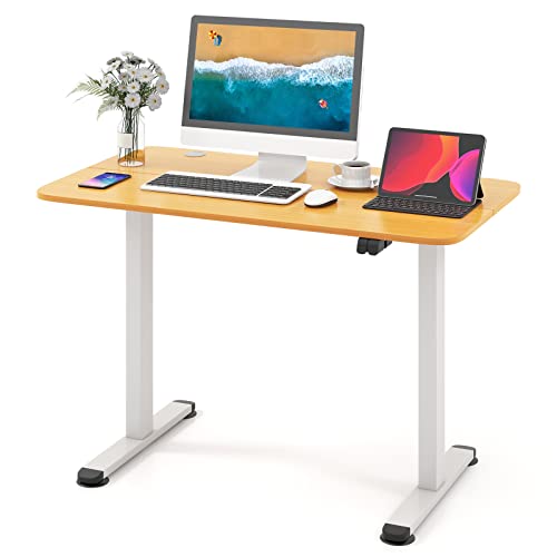 GOFLAME Height Adjustable Electric Standing Desk