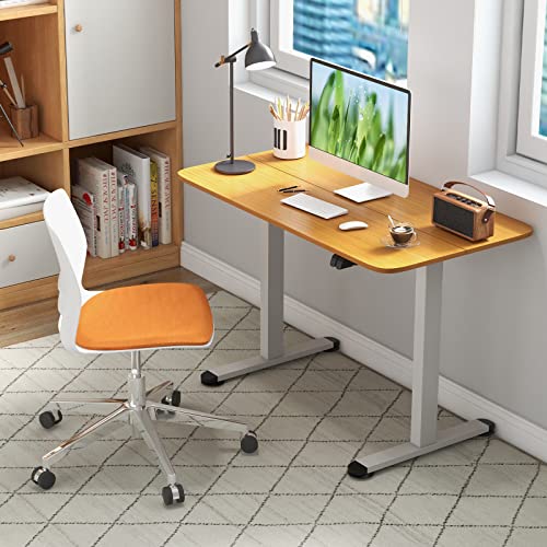 GOFLAME Height Adjustable Electric Standing Desk