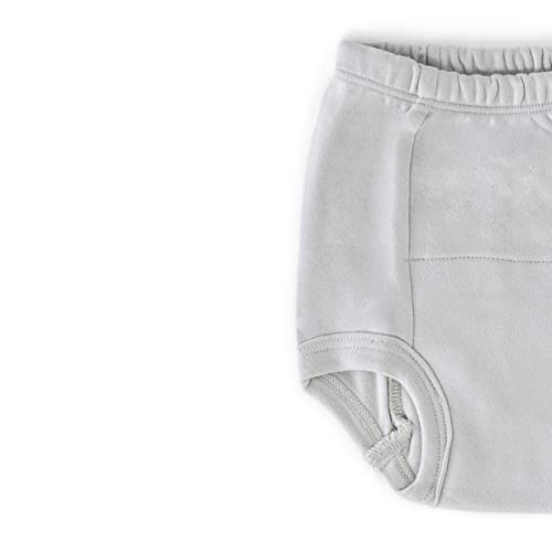 Laas Organic Cotton Potty Training Pants | Underwear, GOTS Certified, Boys, Girls, Unisex, Toddler, Pack of 3 (Blue wave, Grey, Stone