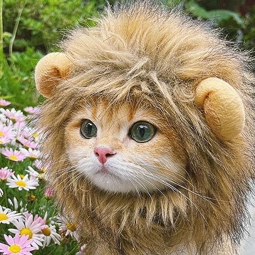 leasote Cute Cat Lion Mane Costume, Halloween Costume Cat Lion Mane Wig for Cats and Small Dogs, Funny Pet Headwear Cat Hats for Halloween Christmas, Parties, Photo Shoots Lion S