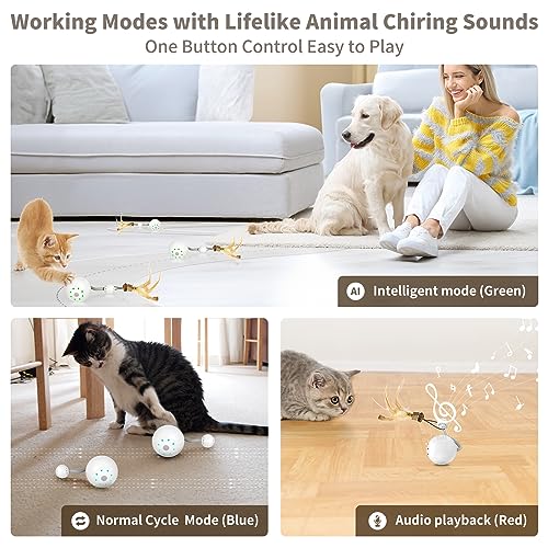 Liucria Interactive Cat Ball Toy, Motion Activate Rolling Ball Toys for Indoor Cats With Feather Toy LED Light Smart Sounds, Type C Rechargeable Stimulate Hunting Instinct Kitten Chaser Pet Toy (Gray)