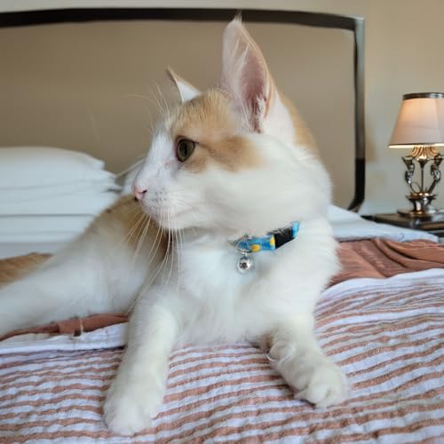 Country Brook Petz - Just Ducky Cat Collar - Critter Corner Collection Featuring Creature Themed Designs