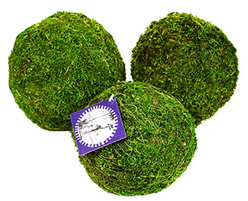 SuperMoss (25542 Moss Balls, Fresh Green