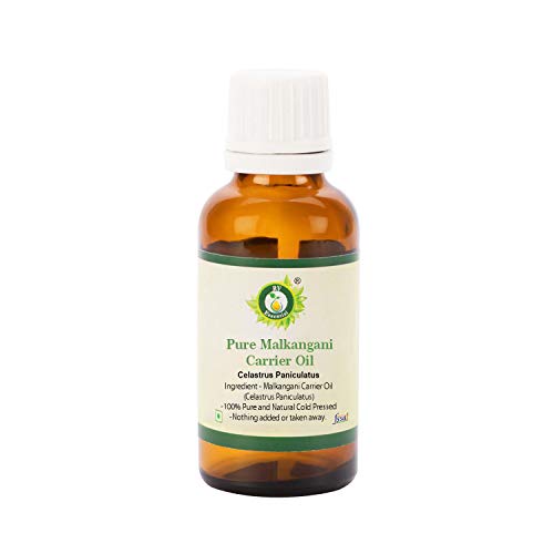 R V Essential Pure Malkangani Carrier Oil 5ml (0.169oz)- Celastrus Paniculatus (100% Pure and Natural Cold Pressed)