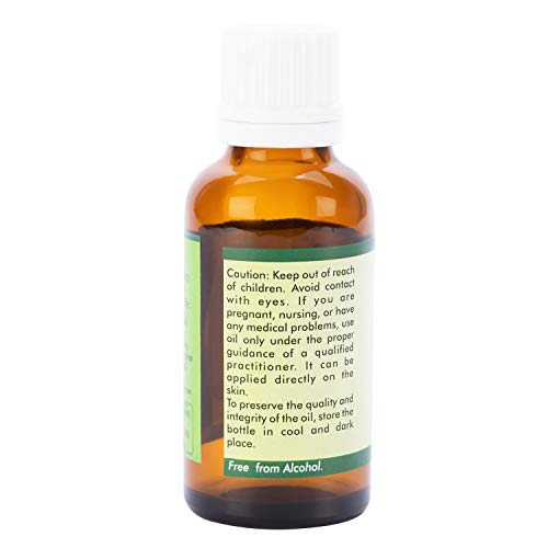R V Essential Pure Malkangani Carrier Oil 5ml (0.169oz)- Celastrus Paniculatus (100% Pure and Natural Cold Pressed)