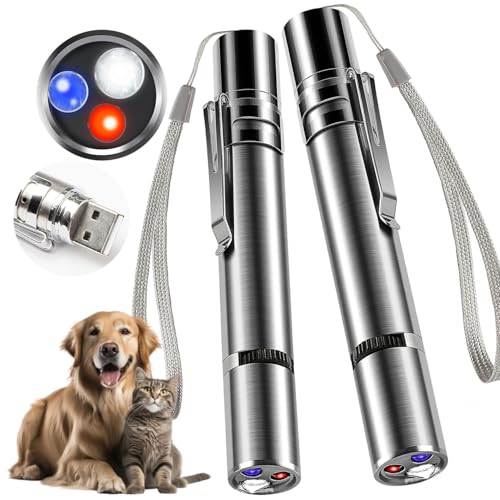 Cat Toys Laser Pointer (2 Pack Gray) - Rechargeable Red Dot Chasers for Indoor Cats, Interactive Teaser for Play & Exercise (Adult & Kittens)