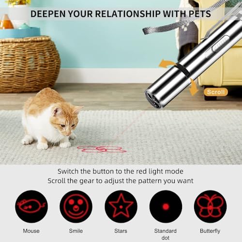 Cat Toys Laser Pointer (2 Pack Gray) - Rechargeable Red Dot Chasers for Indoor Cats, Interactive Teaser for Play & Exercise (Adult & Kittens)