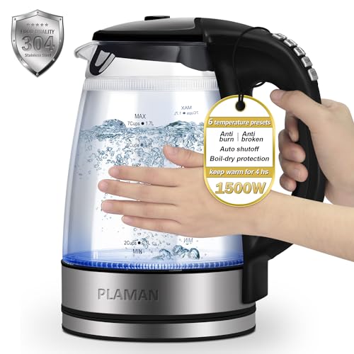 1500W Electric Kettle with Temperature Control