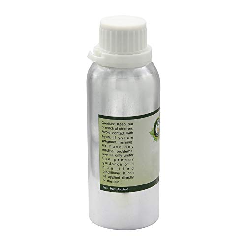 R V Essential Pure Malkangani Carrier Oil 1250ml (42oz)- Celastrus Paniculatus (100% Pure and Natural Cold Pressed)