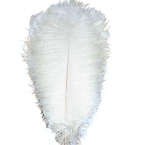 KOLIGHT 50pcs 10''~12''(25~30cm) Natural Ostrich Feathers for DIY Home Wedding Party Office Decoration (White)