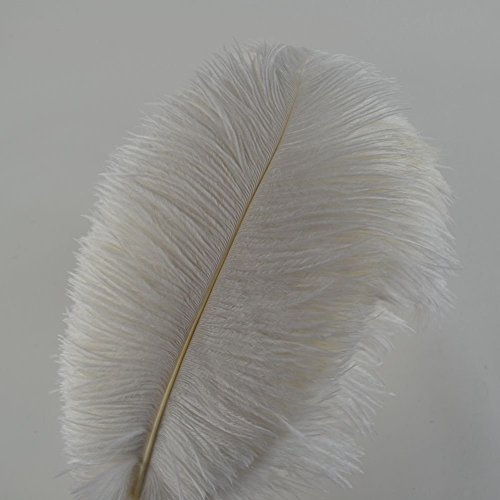 KOLIGHT 50pcs 10''~12''(25~30cm) Natural Ostrich Feathers for DIY Home Wedding Party Office Decoration (White)