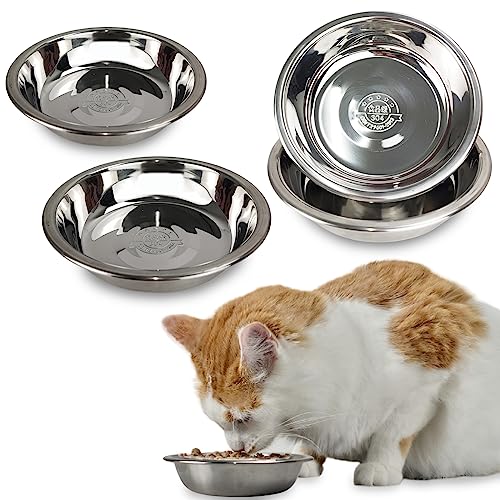 4 Pcs Stainless Steel Cat Bowls