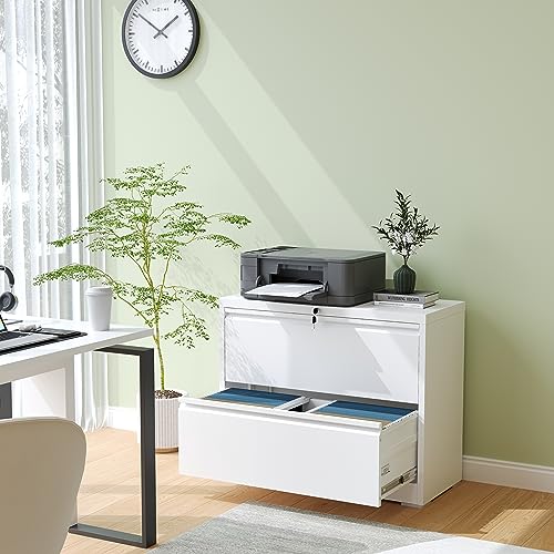BIZOEIRON 2 Drawer Lateral File Cabinet with Lock, Metal Filing Cabinets for Home Office, Steel Storage Wide File Cabinet for Letter/Legal/F4/A4 Size with Hanging Bars, Assembly Required (White)