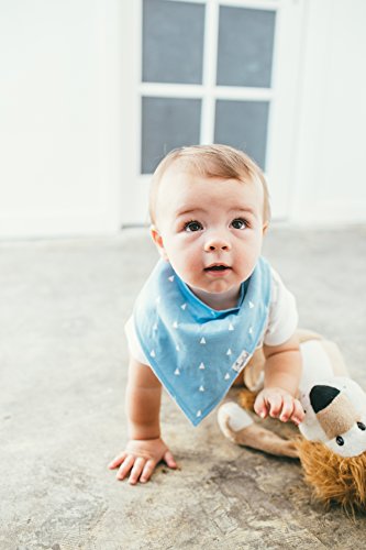 Copper Pearl 4 Pack Soft Cotton Baby Bibs for Drooling and Teething, Absorbent Drool Bibs for Baby Boy, Adjustable to Fit Newborns to Toddlers, Tons of Styles (Cruise Set)