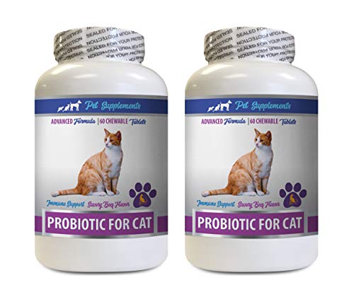 PET SUPPLEMENTS cat Food for Bad Breath - CAT PROBIOTICS - Immune Support - Savory Beef Flavor - Natural Formula - cat probiotics Immune