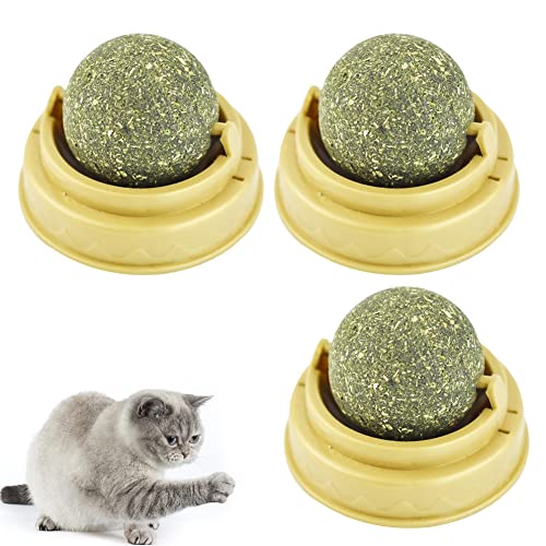 Catnip Wall Toys