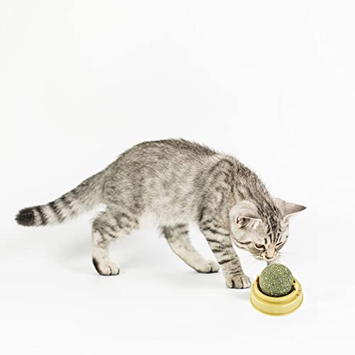 Catnip Wall Toys