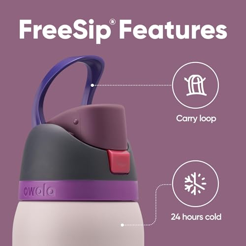 Owala FreeSip Insulated Stainless Steel Water Bottle with Straw for Sports, Travel, and School BPA-Free Sports Water Bottle