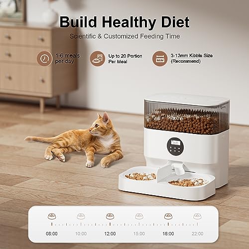 Espelho Automatic Cat Feeder