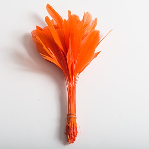 Stripped Burnt Coque Feathers, Orange Pack of 25 Millinery and Crafts 6