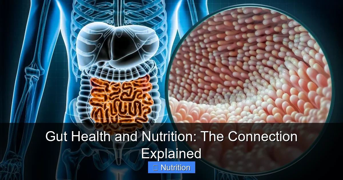 Gut Health and Nutrition: The Connection Explained - content1 visual guide