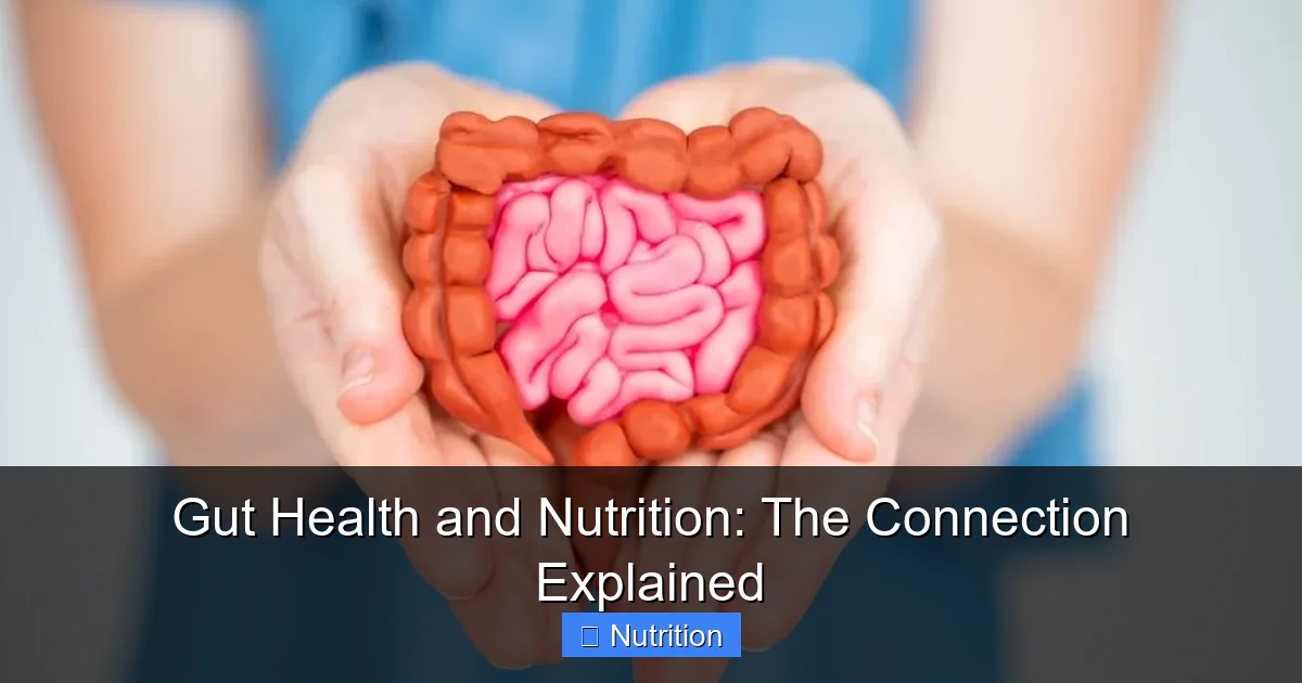 Gut Health and Nutrition: The Connection Explained - content2 visual guide