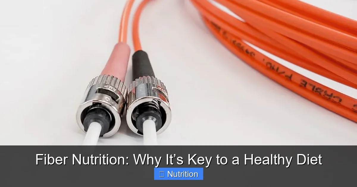 Fiber Nutrition: Why It’s Key to a Healthy Diet - content2 visual guide