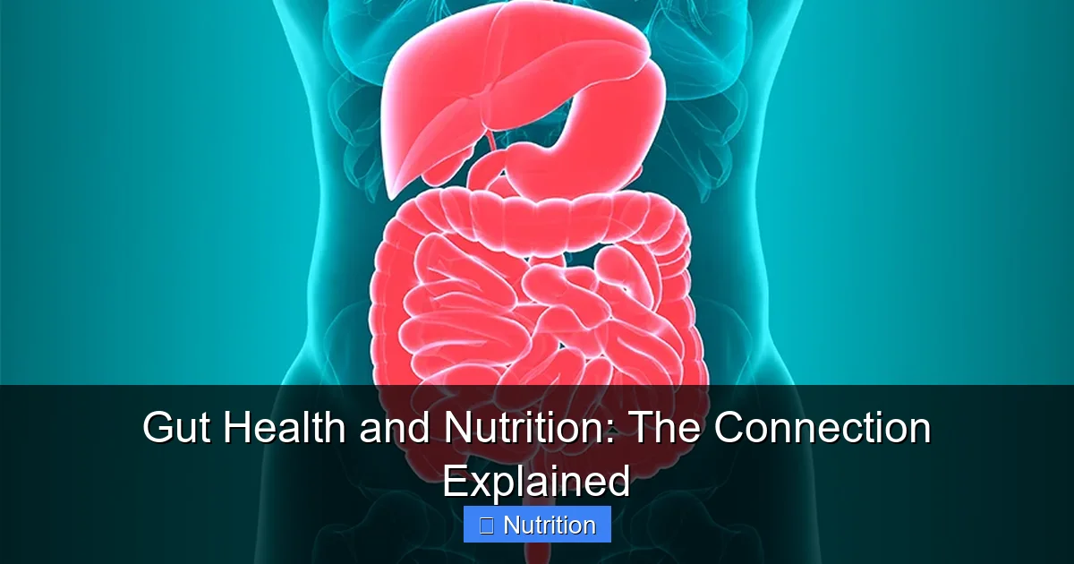 Featured image for Gut Health and Nutrition: The Connection Explained