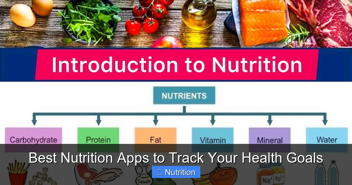 Featured image for Best Nutrition Apps to Track Your Health Goals