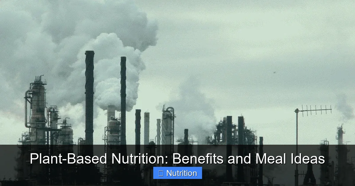 Featured image for Plant-Based Nutrition: Benefits and Meal Ideas